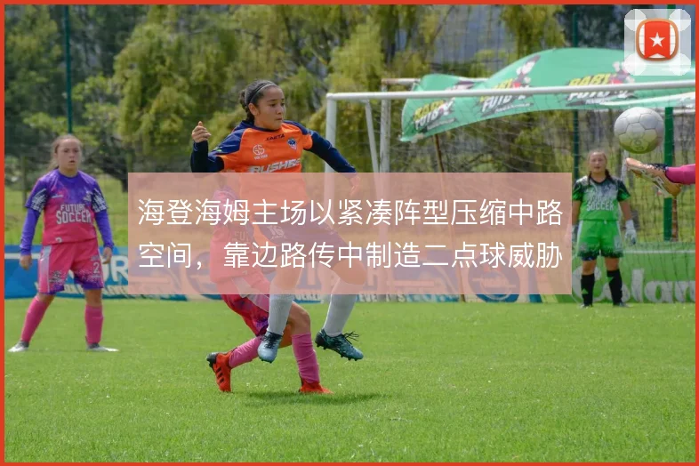 海登海姆主场以紧凑阵型压缩中路空间，靠边路传中制造二点球威胁