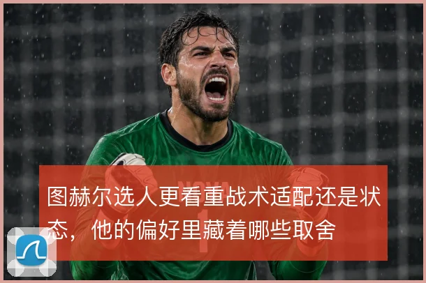 图赫尔选人更看重战术适配还是状态，他的偏好里藏着哪些取舍